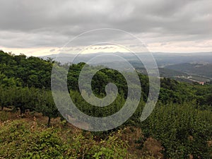 Serbia mountain Jelica green landscape DragaÄevo regio Serbia ÄŒaÄak